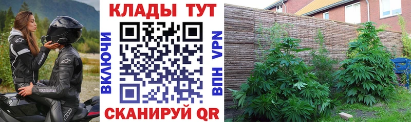 Где продают наркотики Жирновск Cocaine Мефедрон НБОМе Гашиш А ПВП