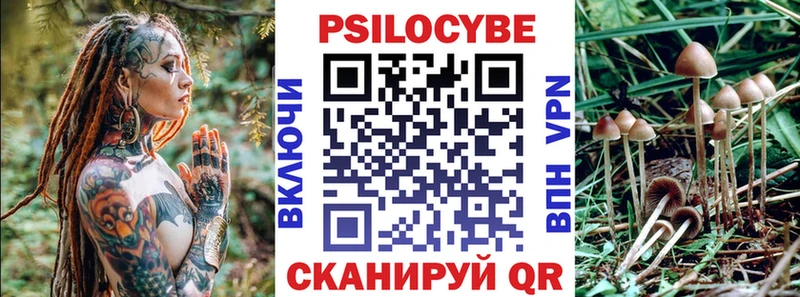 Галлюциногенные грибы Psilocybine cubensis  Жирновск 